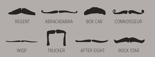 Facial hair styles