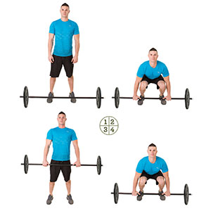 Barbell Deadlifts