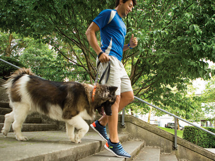 Fitness Has Gone to the Dogs