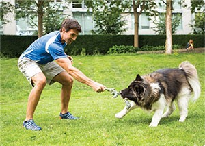 Tug of War